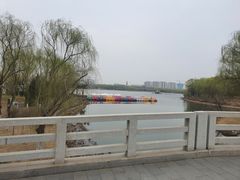 -大兴滨河森林公园