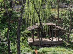 -石家庄市动物园