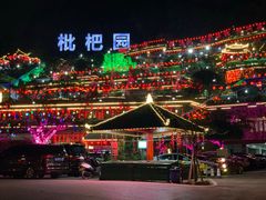 -枇杷园食为鲜火锅(南山店)
