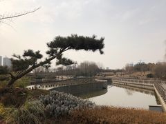 -西安浐灞国家湿地公园