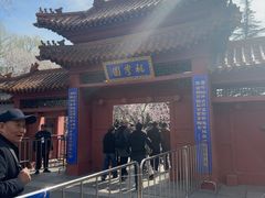 -桃花堤公园
