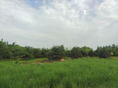 -东郊湿地公园