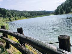 -武陵山森林公园