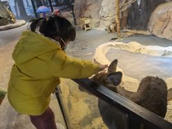 -酷嗒动物文化乐园(cutezoo西溪乐天城店)