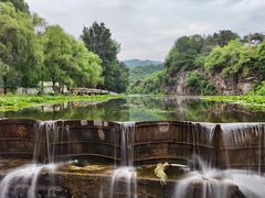 -紫海香堤香草艺术庄园