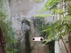 -孟礼旗袍西装礼服定制