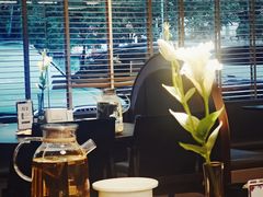 -三强鸽子(中原路店)