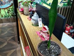 -学习谷日语培训日本留学·多语种外语教学(海淀人大分部)