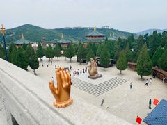 -龙口南山旅游景区