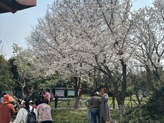 -堤角公园