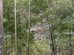 -藏龙百瀑风景区