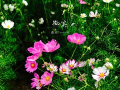 -艾溪湖湿地公园