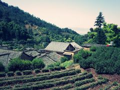 -杨家堂村