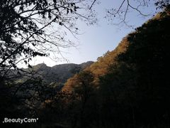 -罗田天堂寨风景区