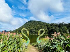 -广州市石门国家森林公园