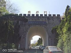 -宜兴龙背山森林公园