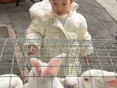 -南湖梦幻岛