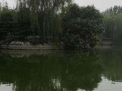 -黄村公园