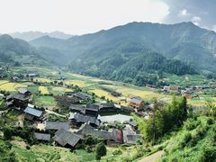 -紫鹊界梯田景区