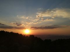 -铁山坪森林公园