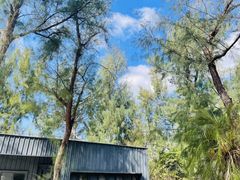 -漳州滨海火山岛自然生态风景区