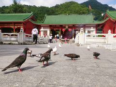 -六祖寺