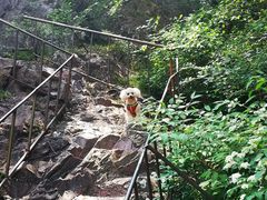 -云岫谷自然风景区
