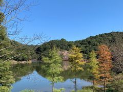 -广州市石门国家森林公园