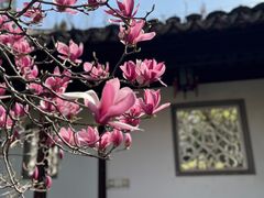 -太平天国历史博物馆(瞻园)