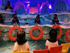 -帝企鹅自助餐厅•儿童岛•真企鹅(长隆企鹅酒店)