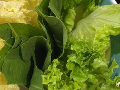 -探窝·竹笙椰子鸡(杨箕店)