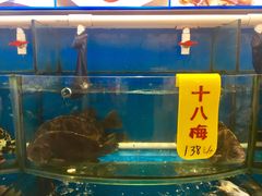 -渔中舟海鲜大排档(普陀沈家门店)