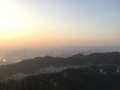 -大金鹰园