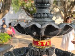-深圳仙湖植物园