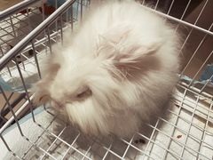 -怪兽屋·羊驼·猫咖·狗咖(俊华广场店)