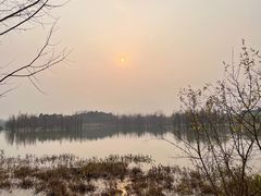 -白鹭湾湿地公园