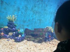-常州海昌海洋探索馆