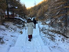 -苏木山森林公园