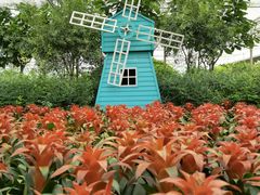 -南宫五洲植物乐园