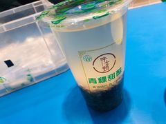 -德禄酸奶(莫家街店)