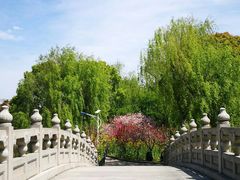 -南汇桃花村