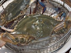-海味当家·蒸锅海鲜(星海公园店)