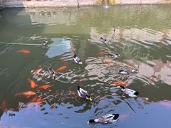 -浙江西湖美术馆