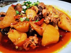 -青城甲(青城山店)