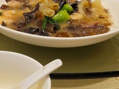 -上海龙之梦万丽酒店