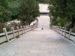 -原山国家森林公园