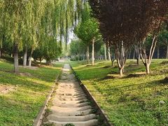 -永定河休闲森林公园