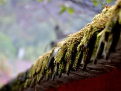 -神龙峡风景区