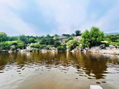 -北京西山国家森林公园