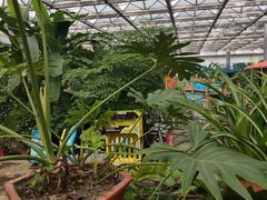 -天源吉布世温泉水乐园